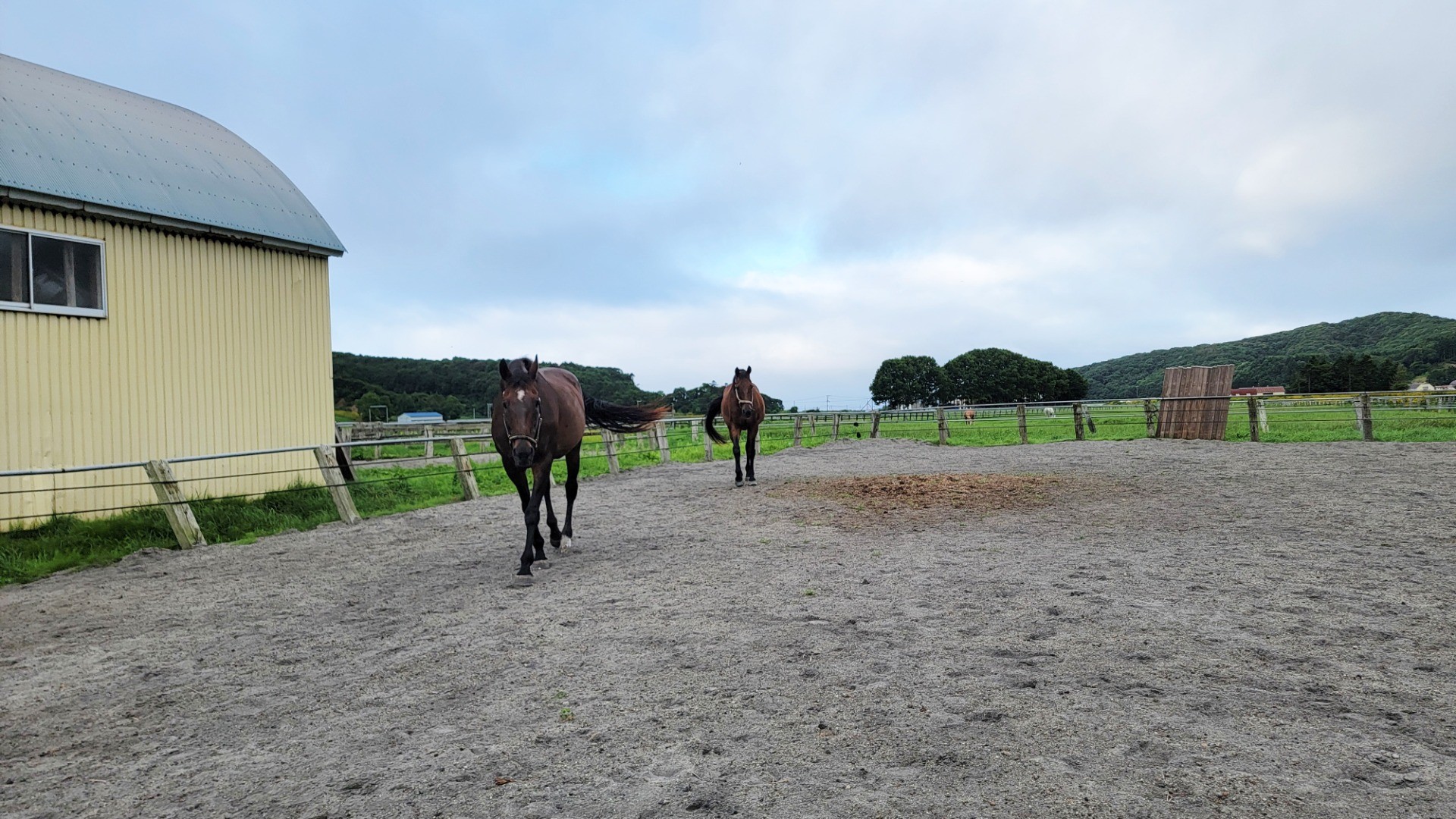 6263d3aa86dc7452c2760e1af0412d31-1760933734.jpg 6263d3aa86dc7452c2760e1af0412d31-1760933734.jpg